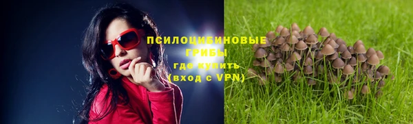 спиды Алзамай