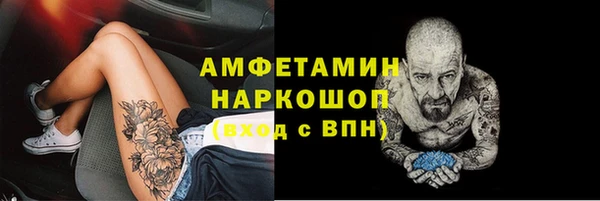 молекула духа Алексин