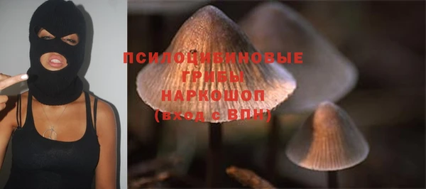 стафф Алексеевка