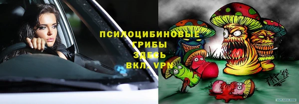стафф Алексеевка