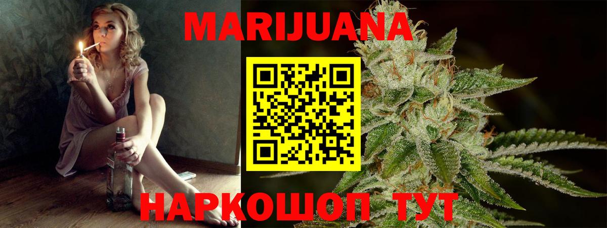 Бошки Шишки планчик Елабуга